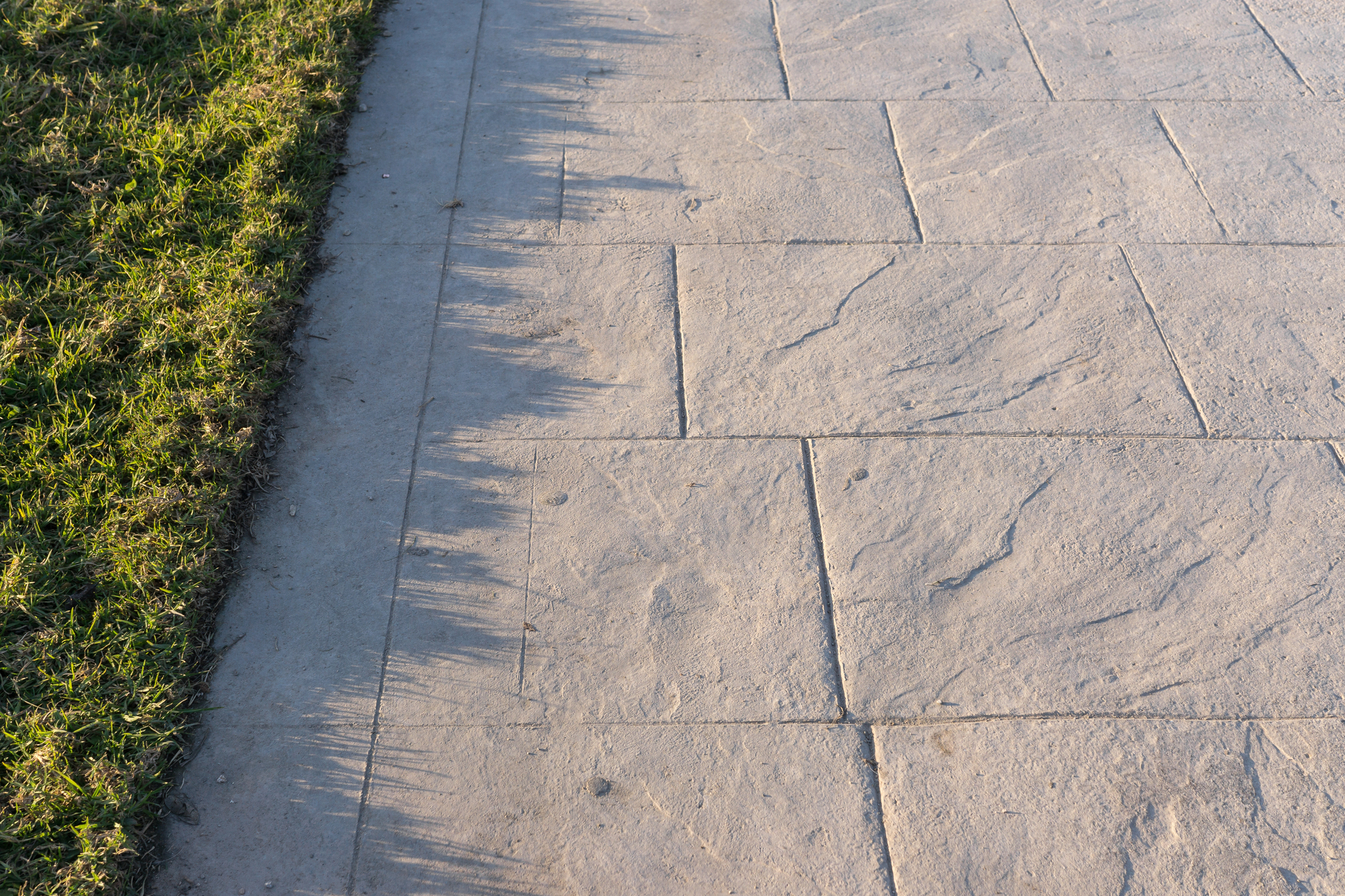 Close-up of a concrete sidewalk next to a grassy area, with grass casting long, distinct shadows onto the pavement.